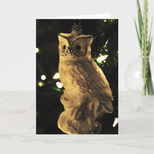 Christmas Owl Holiday Card