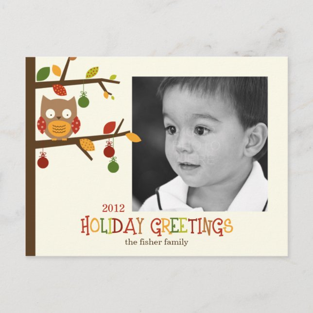 Christmas Owl Holiday/ Christmas Postcard (Front)