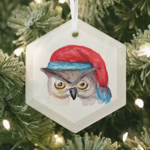 Christmas Owl with Santa Hat  Glass Ornament