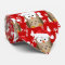 Christmas Owl with Santa Hat