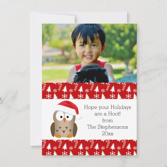Christmas Owl with Santa Hat Photo Holiday Card (Front)