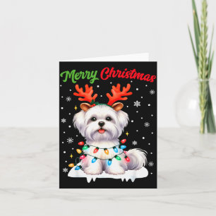 Christmas Pajamas Men Women Kids Maltese Dog Chris Card