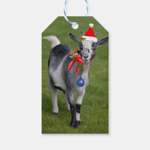 Christmas Pals Gift Tags