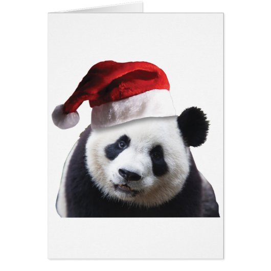 Christmas Panda Bear (Front)