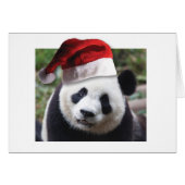 Christmas Panda Bear (Front Horizontal)