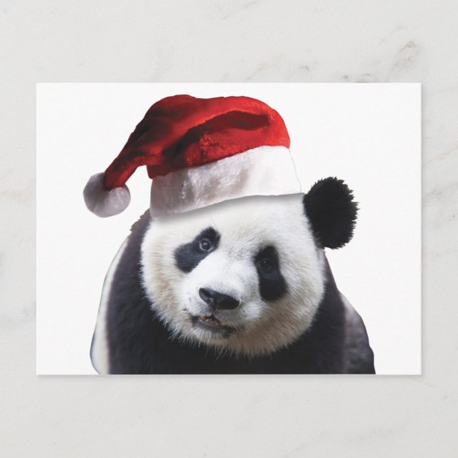 Christmas Panda Bear Holiday Postcard (Front)