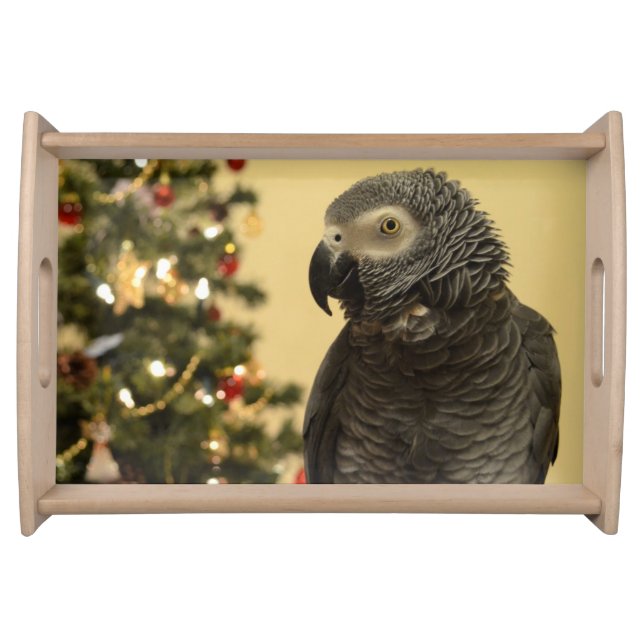 Christmas Parrot Serving Tray (Front)