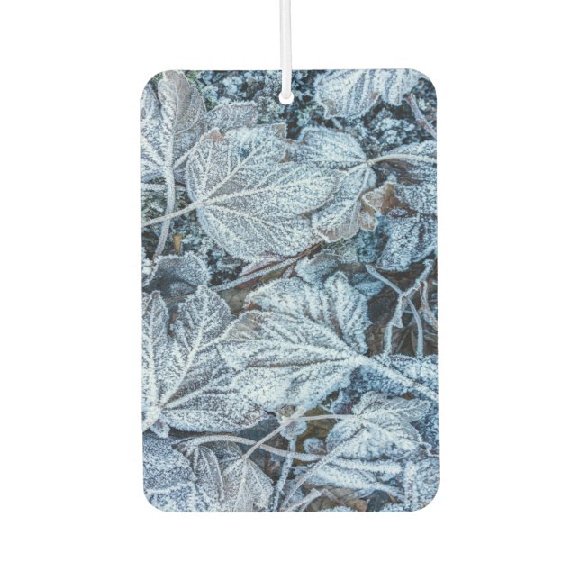 Christmas Party Blue Leaves Snow Holidays Winter Air Freshener (Front)