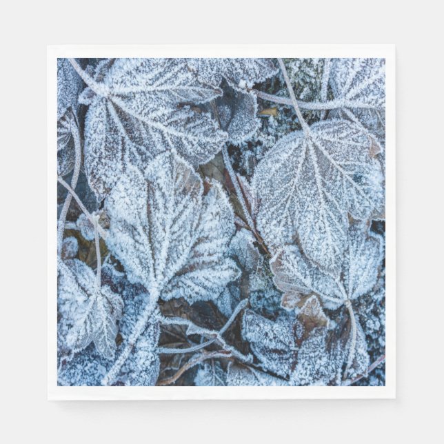 Christmas Party Blue Leaves Snow Holidays Winter Napkins (Front)