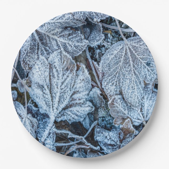 Christmas Party Blue Leaves Snow Holidays Winter Paper Plates (Front)