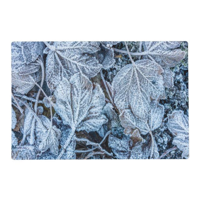 Christmas Party Blue Leaves Snow Holidays Winter Placemat (Front)