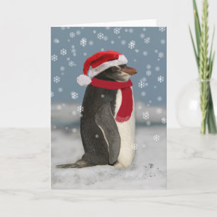Christmas Penguin Holiday Card