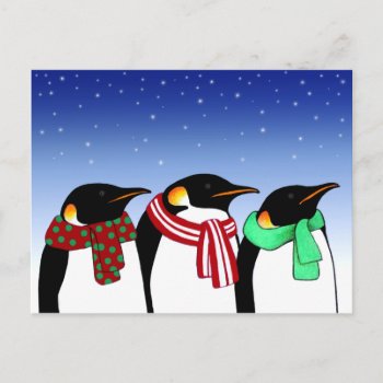 Christmas Penguins Holiday Post Card by goldersbug at Zazzle