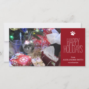Christmas Pet 8" x 4" Photo Card