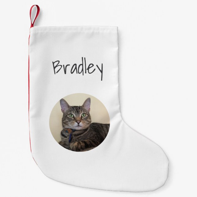 Christmas Pet Cat Photo Simple Typography  Small Christmas Stocking (Front)