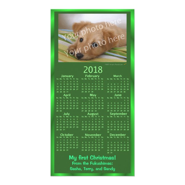 Christmas Pet Photo Card 2018 Calendar Green Xmas