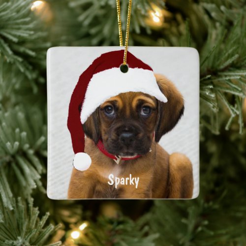 Christmas pet photo custom personalized stylish  ceramic ornament