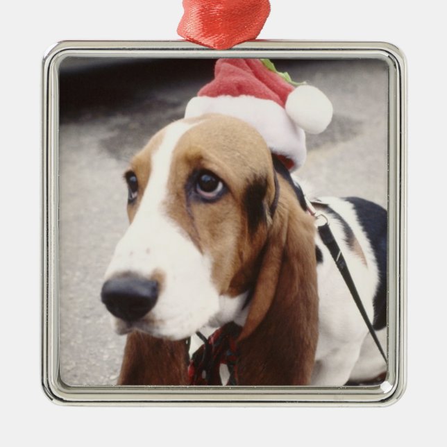 Christmas Pet Photo  Holidays Xmas Metal Ornament (Front)