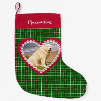 Christmas pet photo name red green
