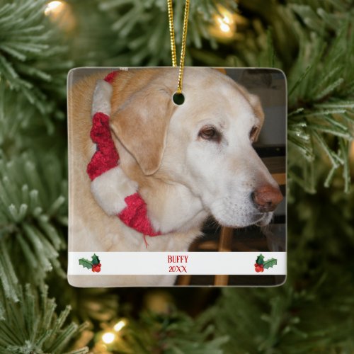 Christmas Pet Photo Template Red And White Ceramic Ornament