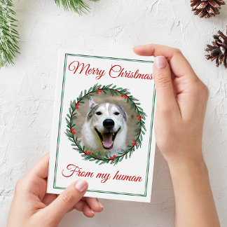 Christmas Pet Photo Wreath Holiday Card