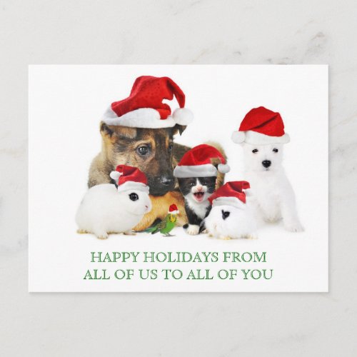 Christmas Pets Postcard