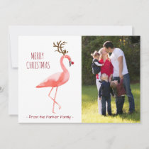 Christmas photo card funny Rudolph Flamingo