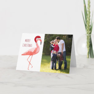 Christmas photo card funny Santa flamingo