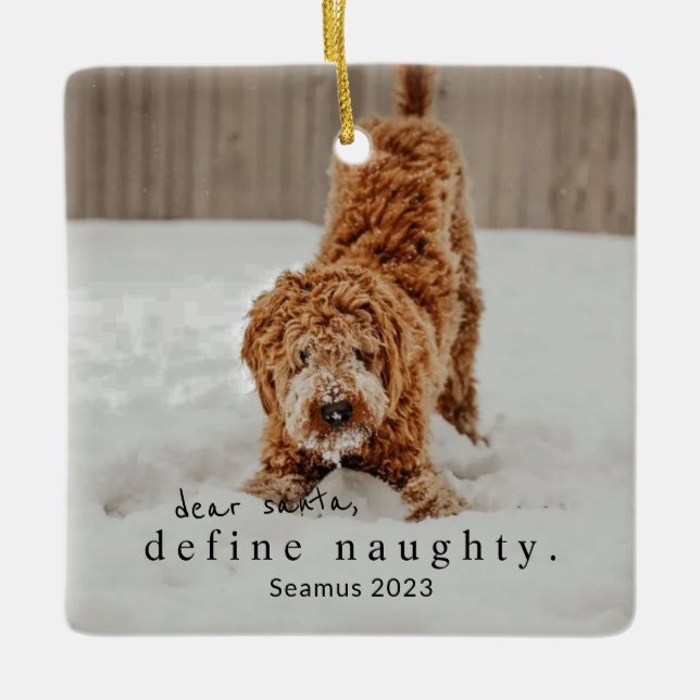 Christmas Photo Pet Ornament - define naughty (Front)