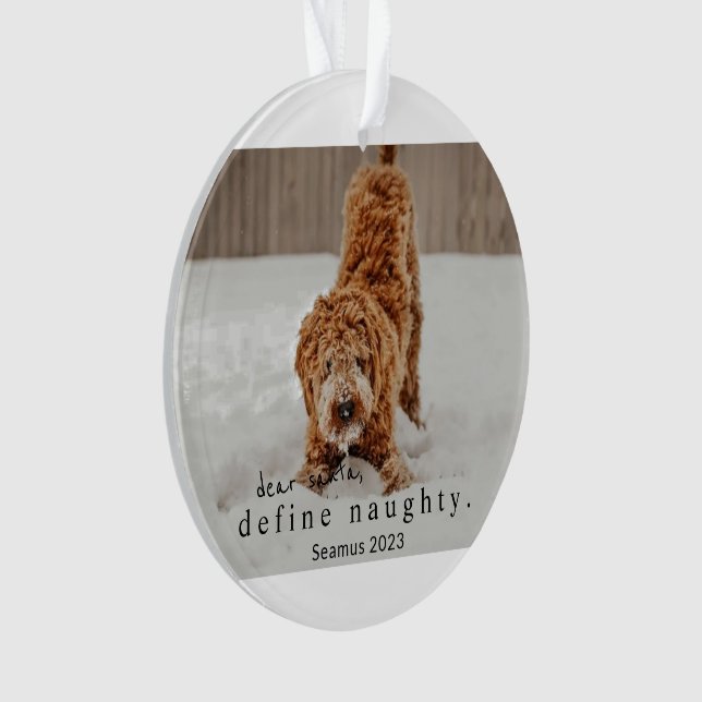 Christmas Photo Pet Ornament - define naughty (Front)