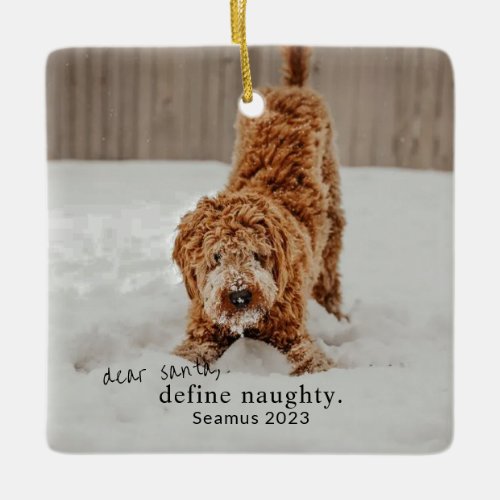 Christmas Photo Pet Ornament _ define naughty