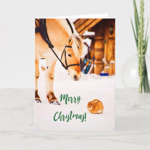 Christmas photo with cute animals farm snow holiday card