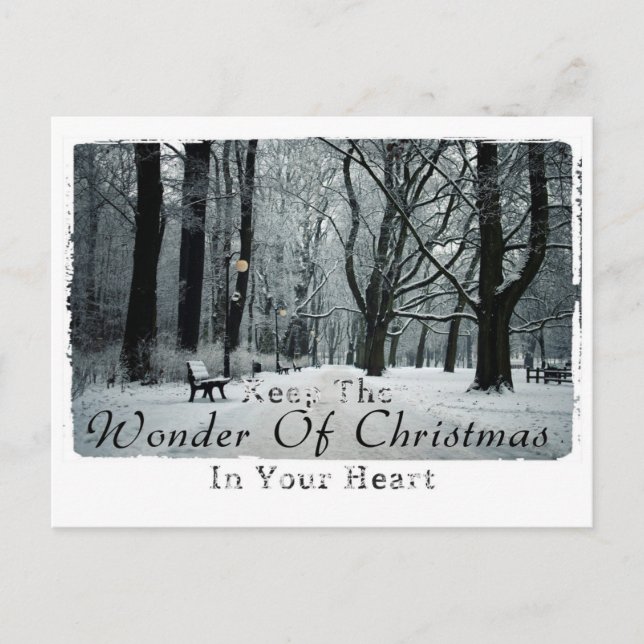 Christmas photography postcard (Front)