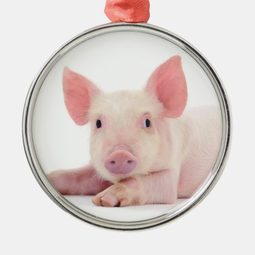 CHRISTMAS PIGGY CHRISTMAS ORNAMENT