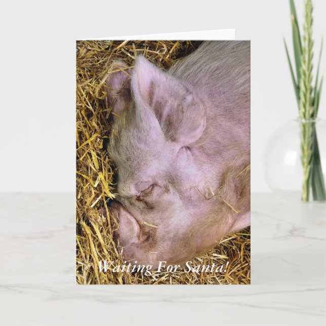 CHRISTMAS PIGS HOLIDAY CARD (Front)
