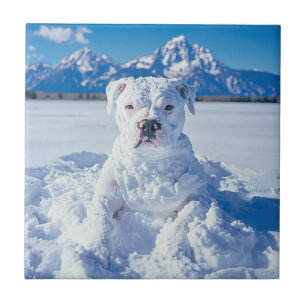 Christmas Pitbull Dog Snowman Ceramic Tile