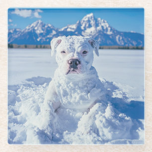 Christmas Pitbull Dog Snowman Glass Coaster