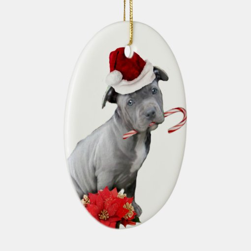 Christmas pitbull puppy ceramic ornament | Zazzle