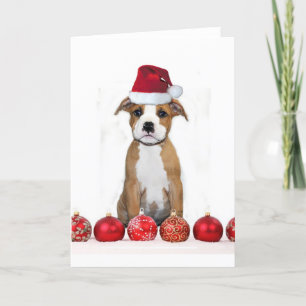 Christmas pitbull puppy greeting card