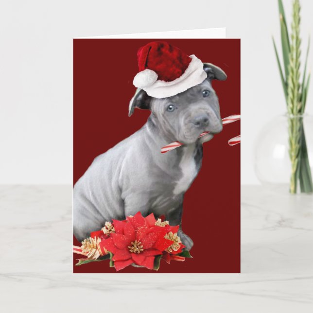 Christmas Pitbull puppy Holiday Card (Front)