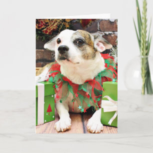 Christmas - Pitbull X - Opie Holiday Card