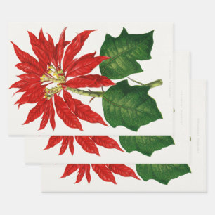 Christmas Poinsetta Flower Red Decoupage Wrapping Paper Sheets
