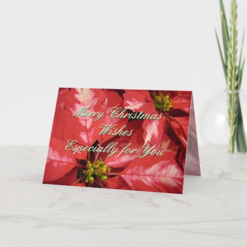 Christmas Poinsettia 2 _ personalizing Holiday Card