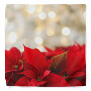 Christmas Poinsettia Bandana