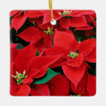 Christmas Poinsettia Ceramic Ornament<br><div class="desc">Christmas winter poinsettias are the loveliest. Beautiful as they are, real poinsettias are poisonous to our beloved kittehs and goggies, so here are some lovely poinsettias that are non-toxic and critter-safe! Be sure to check out our other CHRISTMAS and HANNUKAH designs and gifts…for people and cats and dogs. Don’t miss...</div>