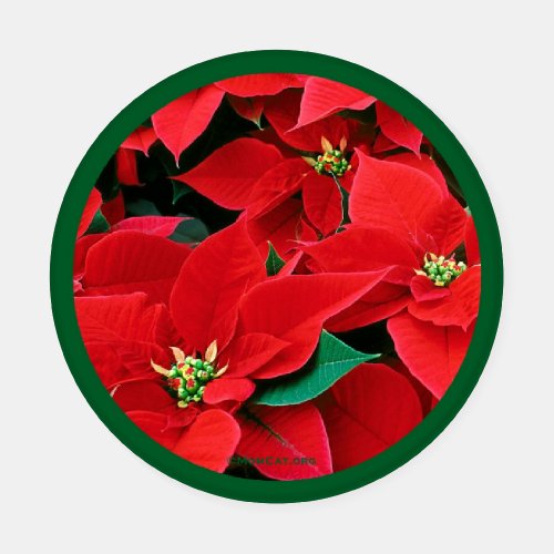 Christmas Poinsettia Coaster Set