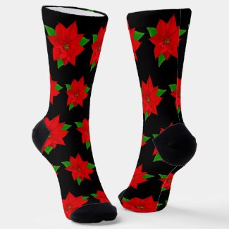 Christmas Poinsettia Flowers on Black