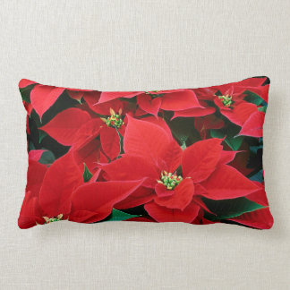 Christmas Poinsettia: Home: Pillows & Throw Pillow
