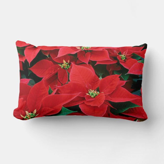 Christmas Poinsettia: Home: Pillows & Throw Pillow (Front)