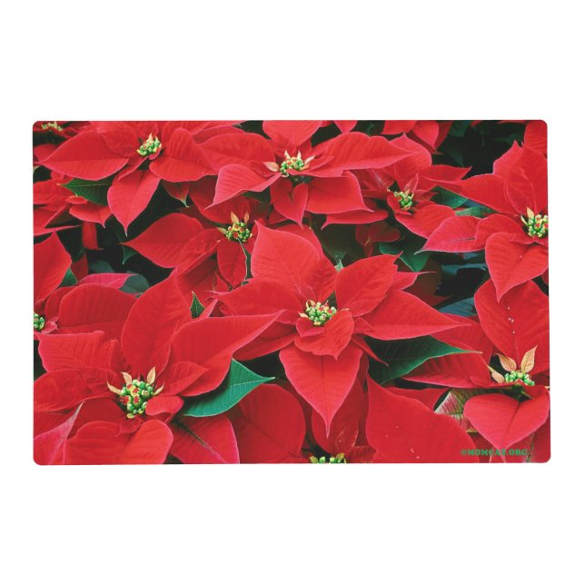 Christmas Poinsettia Laminated Placemat (Front)